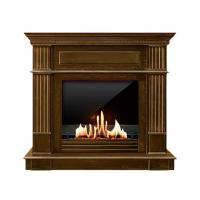 Биокамин в портале SteelHeat Rim, стекло, стемалит